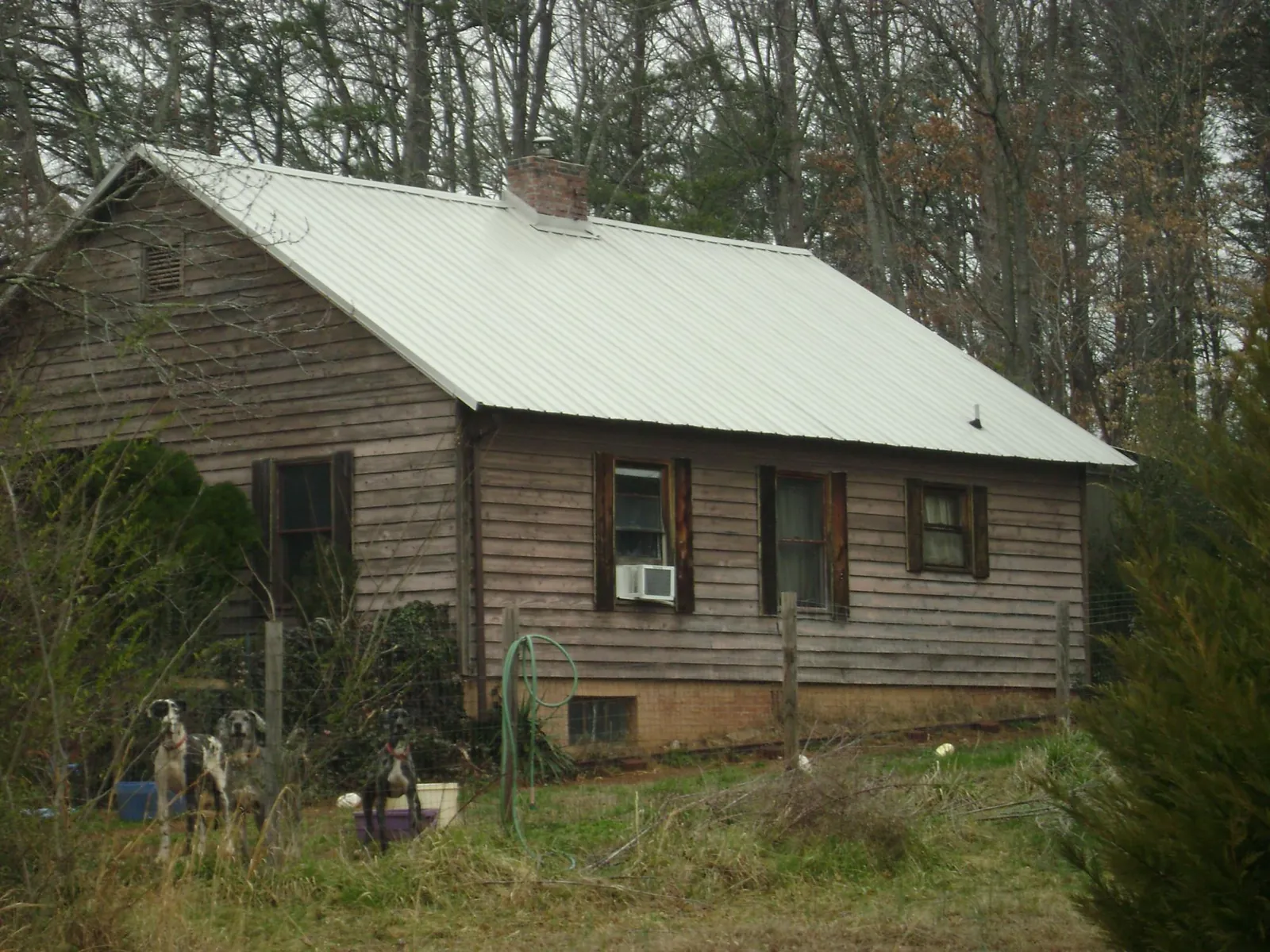 White metal roof on an old wood sided farmhouse, from a Asphalt Shingle Roof Repair job in Sweet Valley